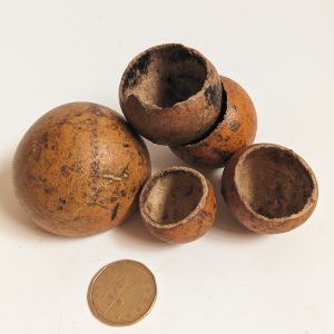 pod kuchipal