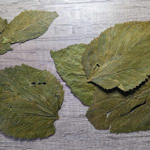 dried mulberry leaves feuilles de murier sechée bioactive reptile dendrobate quebec canada