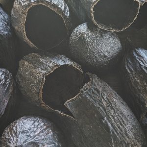 cacoa pod