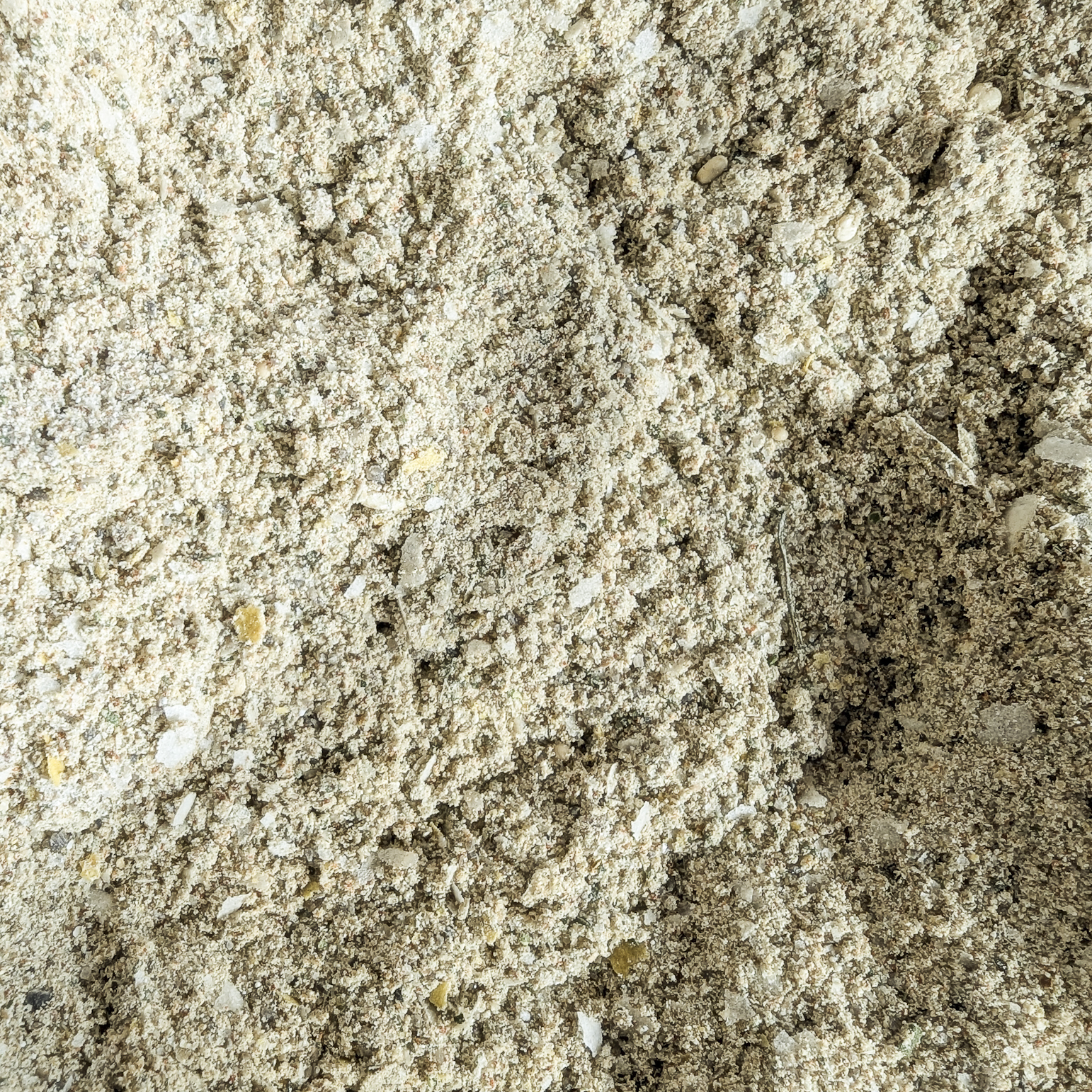 Nourriture en poudre pour isopodes et cloportes - La Shop Bioactive - Recette maison riche en calcium