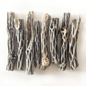 Bois de Cholla