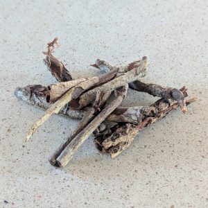 Écorce de Catappa 15g – Aquarium & Terrarium Bioactif Naturel