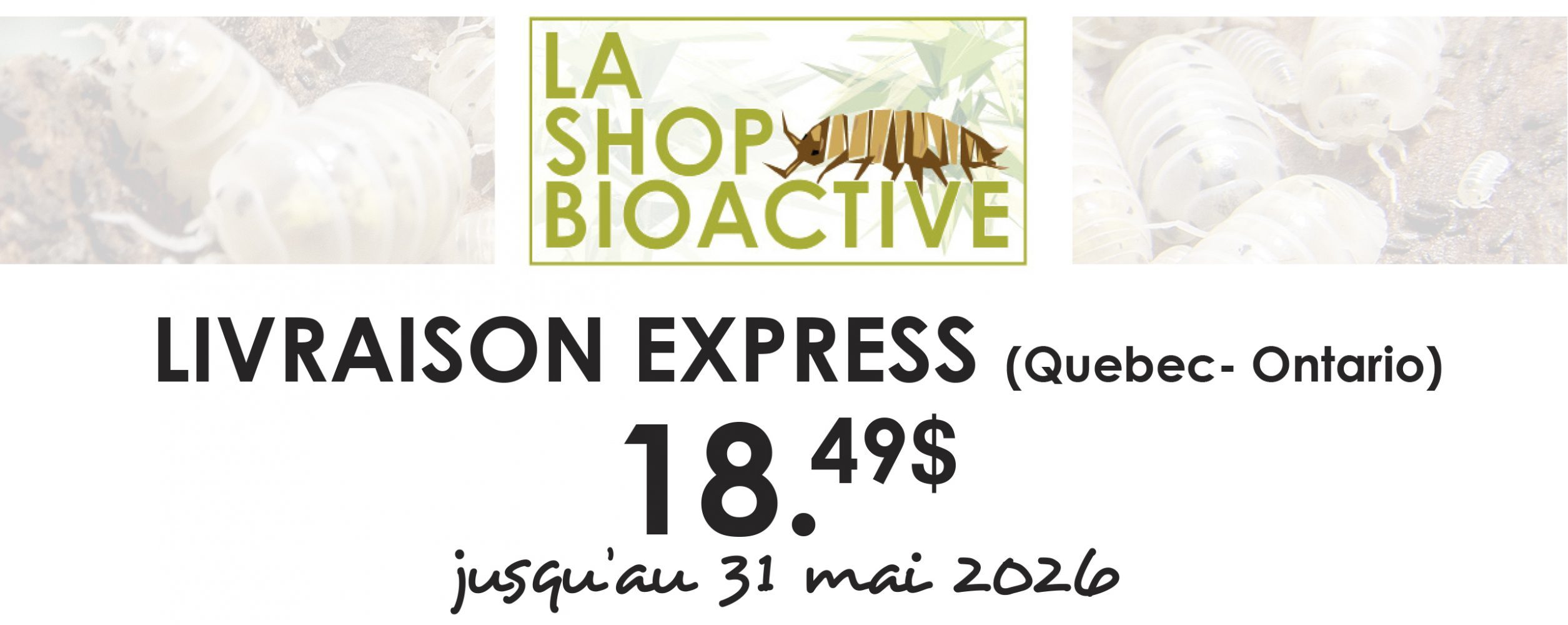 promotion livraison estivale